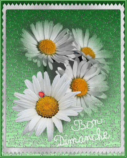 Bon Dimanche