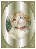 kit avatar signature