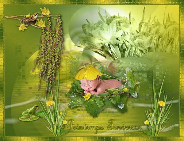 printemps tendresse