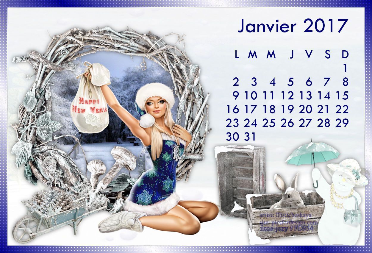 Janvier 2017