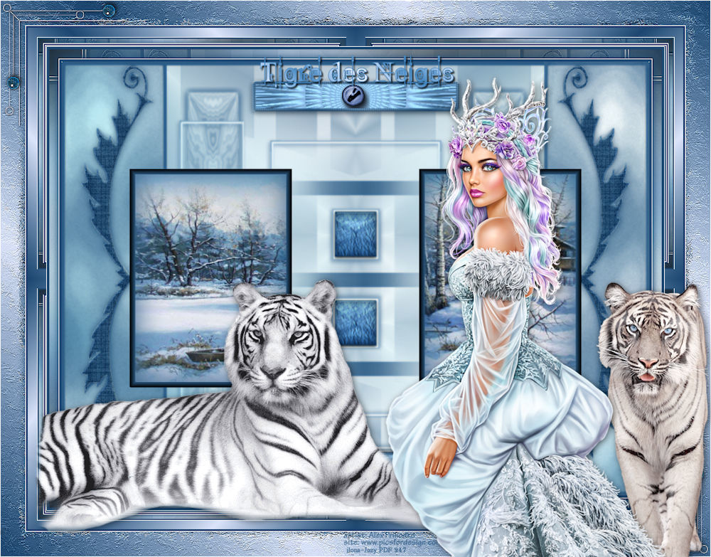 Tigre Des Neiges, Dessin par Jess.C.Art